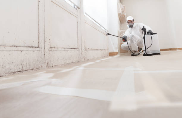 24/7 Emergency Mold Remediation experts in Howell, MI